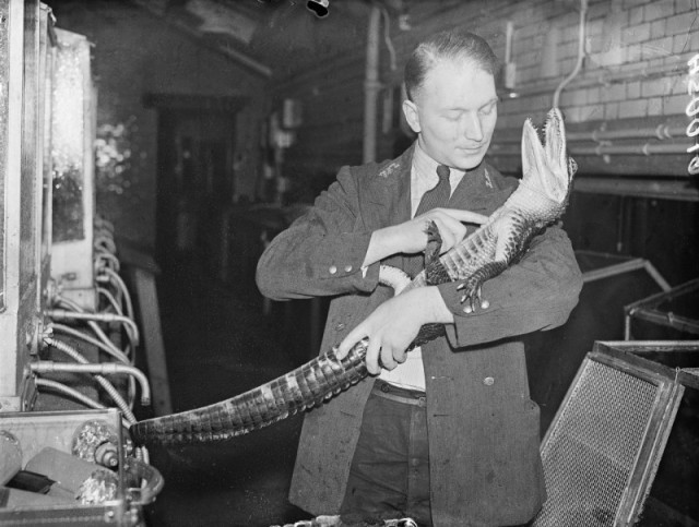 История в фотографиях