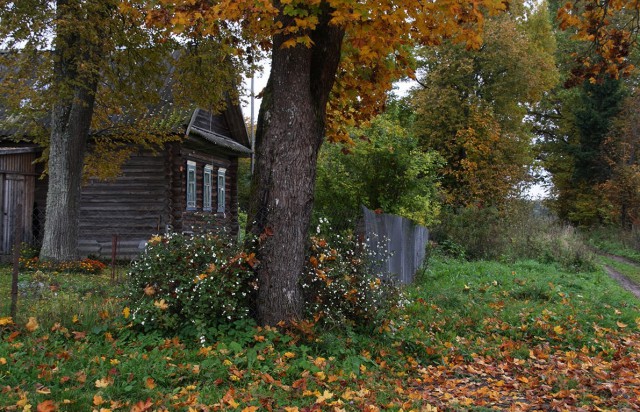 Осень в деревне