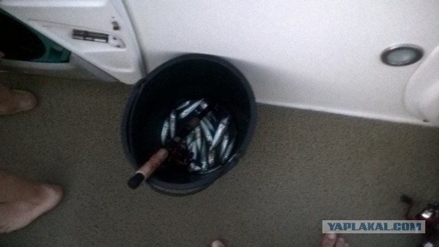 Выезд на рыбалку