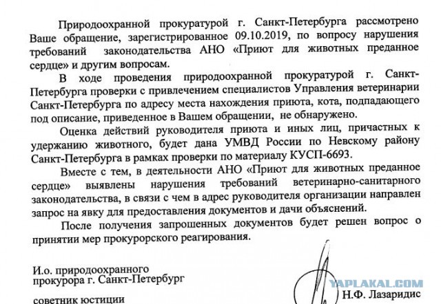 Помогите вернуть кота! Приют "Преданное сердце" украл кота и не отдает!-2