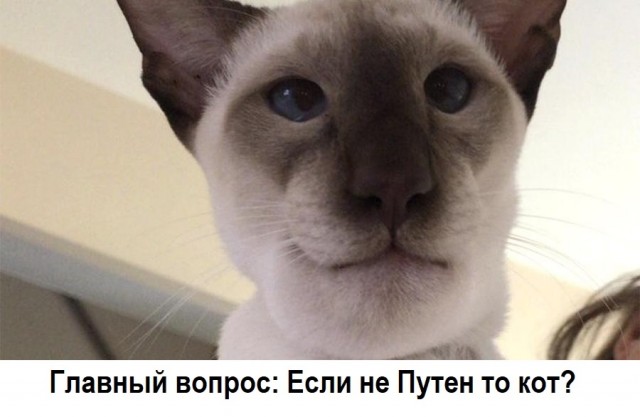 Путин расскажет всё!