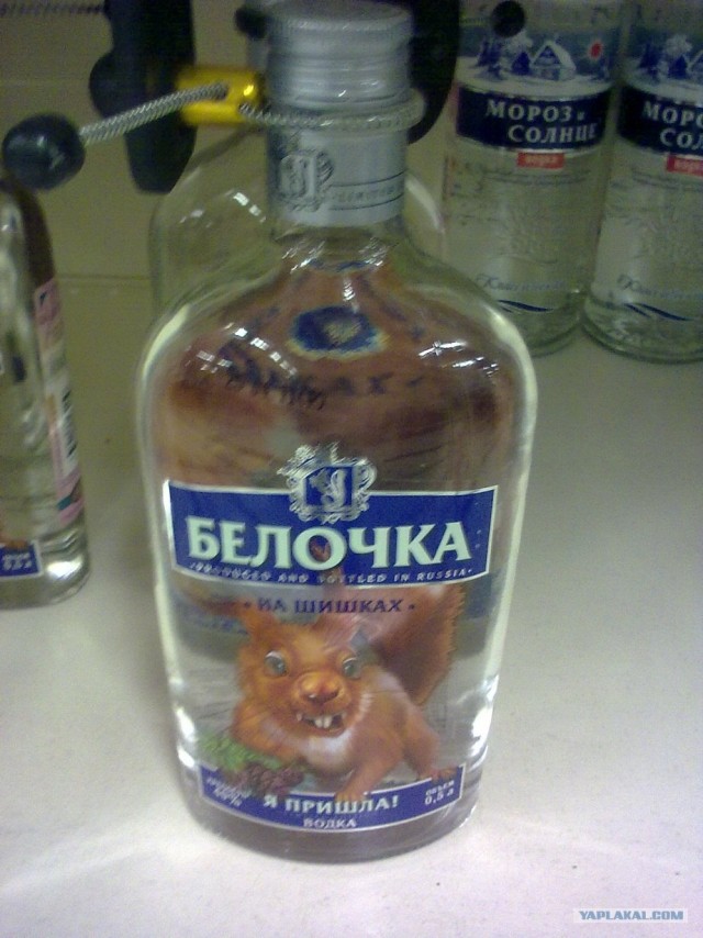 Модная и мечтательная
