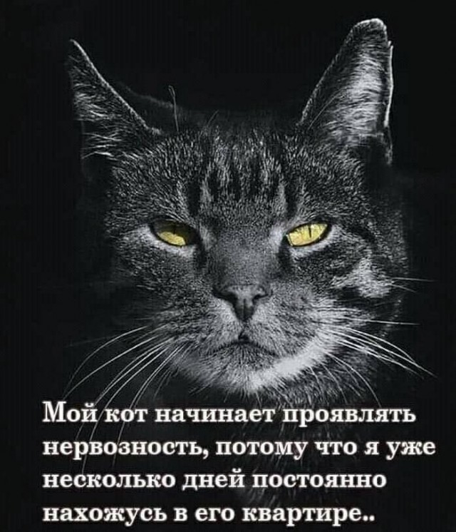 Картинки из рабочего чата 06.04.