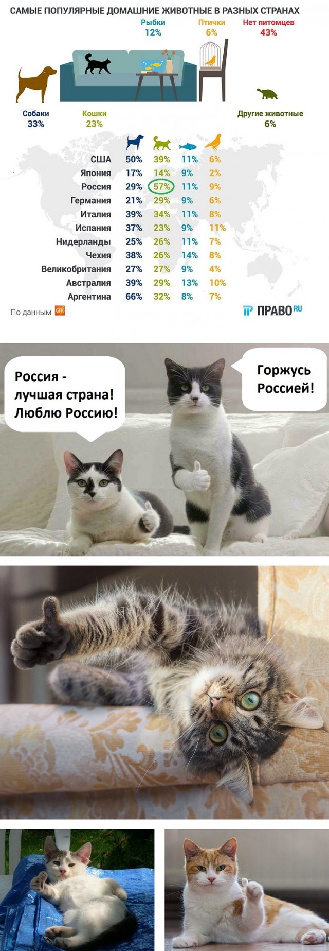 Польза  от   кошек  и  собак  при  коронавирусе