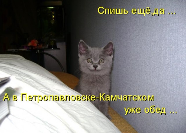 Чуток картинок 11.05.20