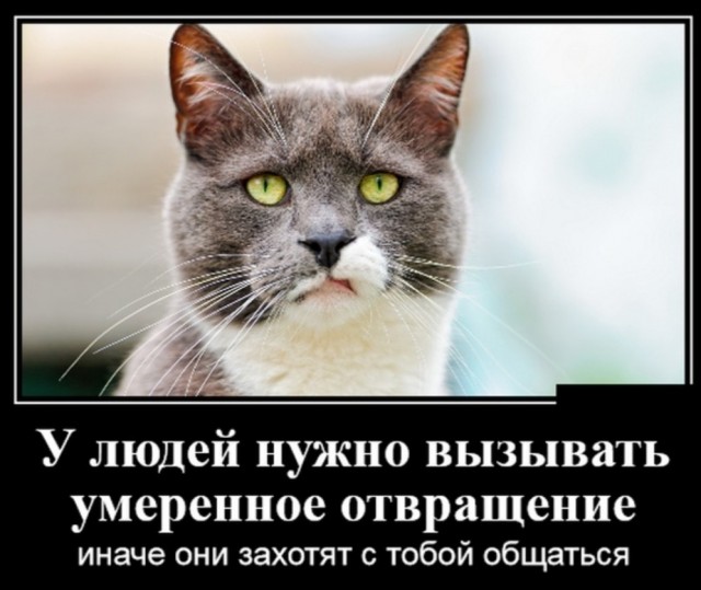 Бредзона 23.05.20