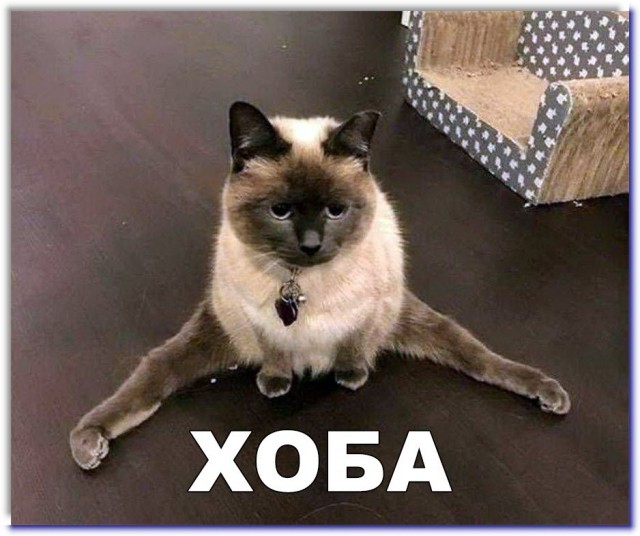 Не волочковы