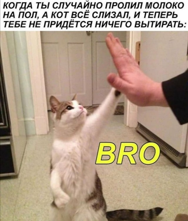 Просто добрые картинки. Всем хорошего дня!
