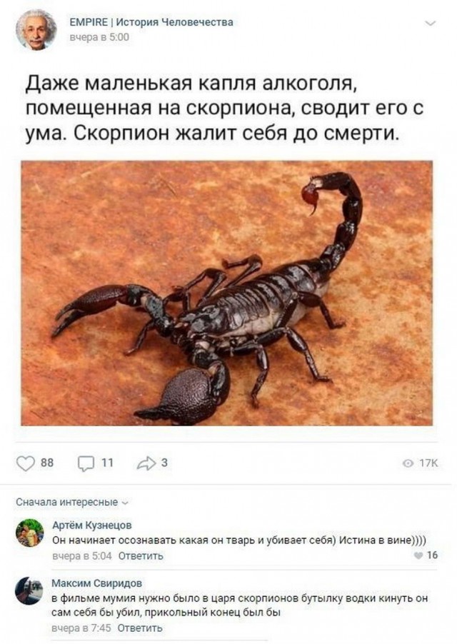 Алкопост 19.09.20