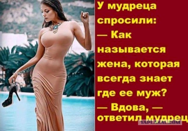 Немного картинок для настроения 12.11.20