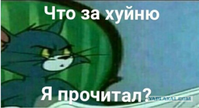Не понимала, почему Виктор меня мышкой называет, пока не обнаружила целый зоопарк в его телефоне