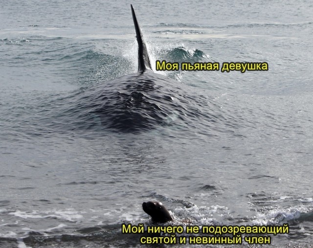 Секс на пьяную голову: 5 женщин откровенно рассказали, что они вытворяли по пьяни