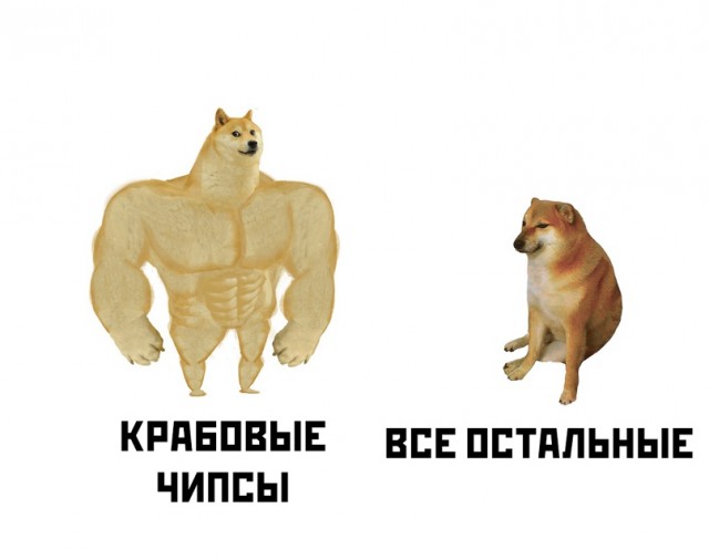 Весёлый полтишок 4.04
