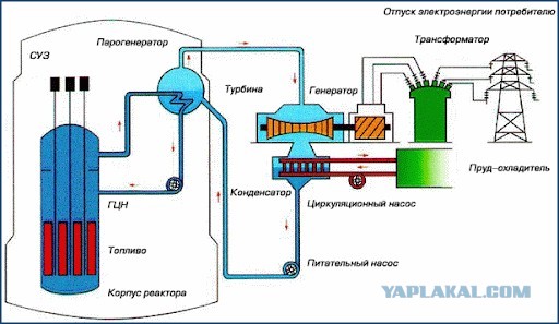 Угадайте по фоткам, кем я работаю?
