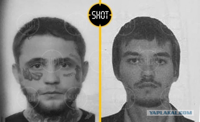 Поручили убийство дебилам. При аварии на "Сортавале" из багажника выкинуло тело без головы