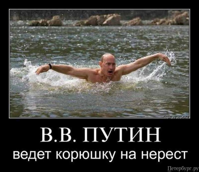 Сколько ещё впереди о*уитильных историй нас ждёт!