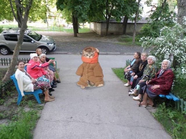 Теперь он сам продаёт рыбов