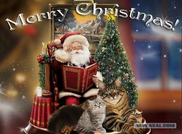 Минобороны России проведет масштабные учения десантников в Крыму и Краснодарском крае