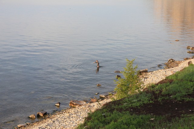 Байкал, 2011