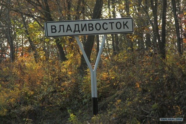 Я люблю Владивосток