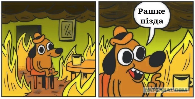 Трофеи
