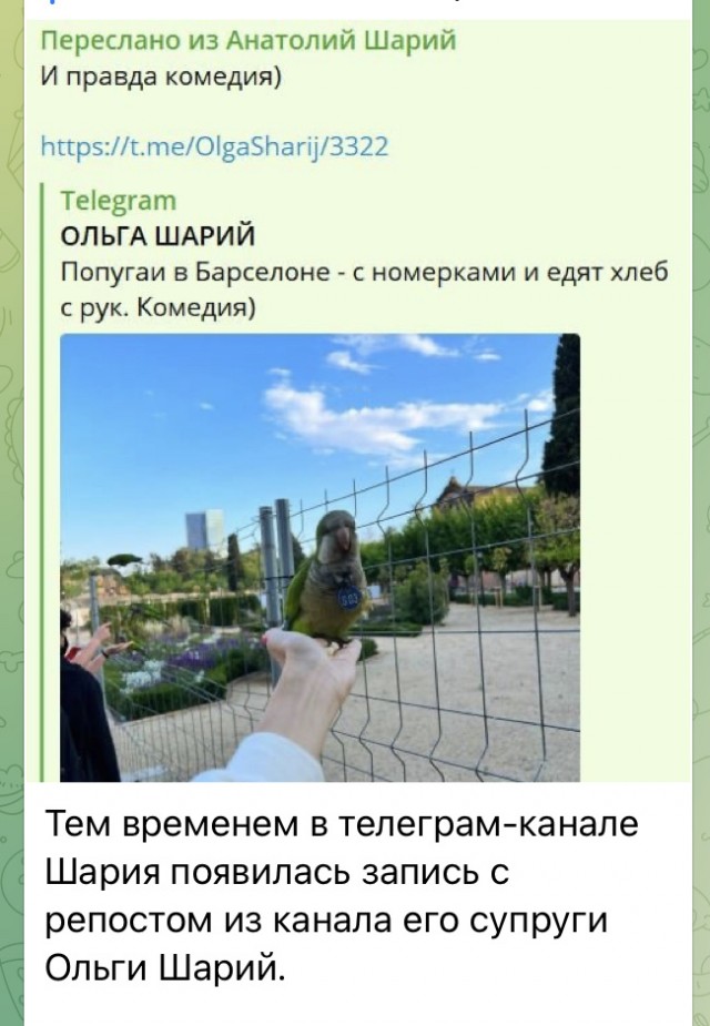 СБУ соообщает о задержании в Испании блогера Шария