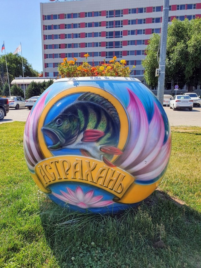 Астрахань – город «мёртвых» собак