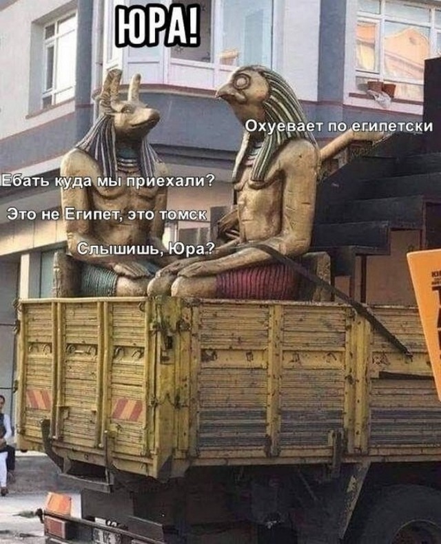 Картинки и мемы. Выходные близко, близко...