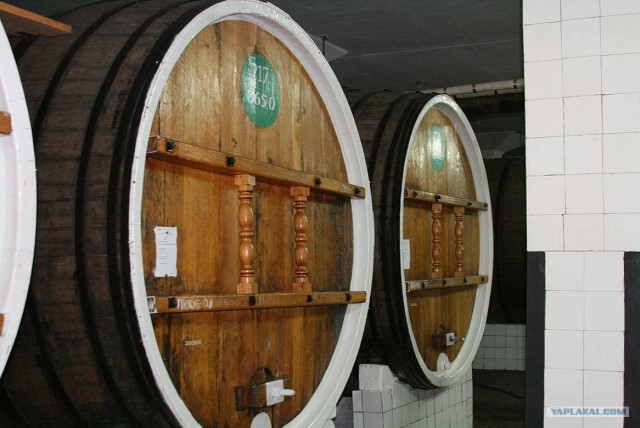 Южный берег Крыма