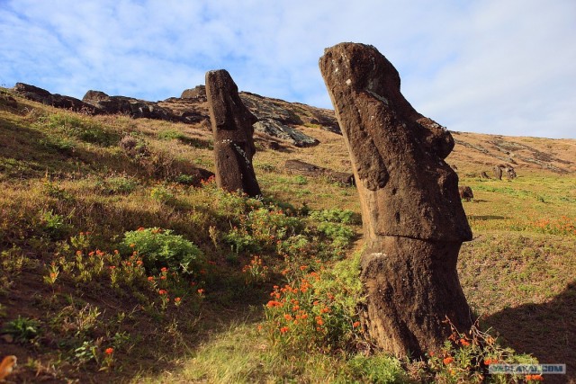 Южно-Американский дневник. остров Пасхи
