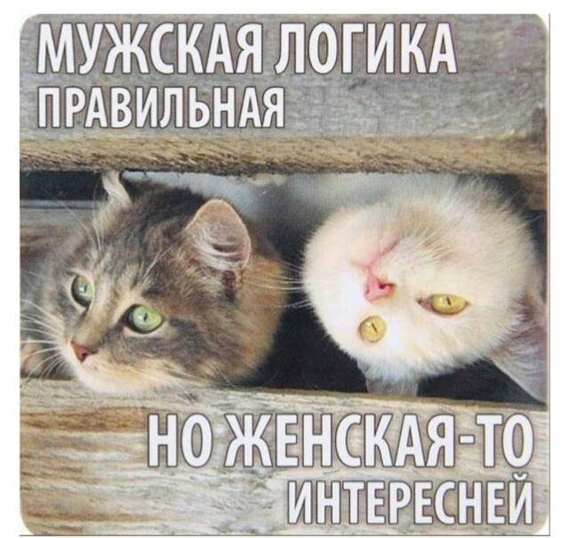 Что такое хорошо