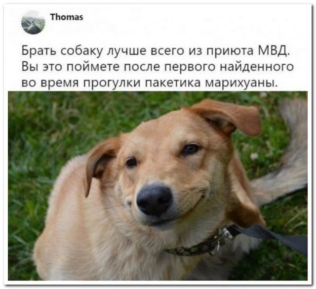 Немного картинок для настроения - 112