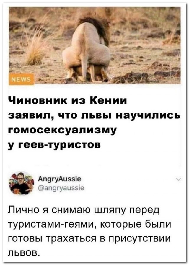 Картинки и мемы для настроения - 119