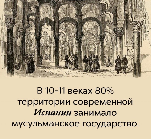 Факты. Просто факты.