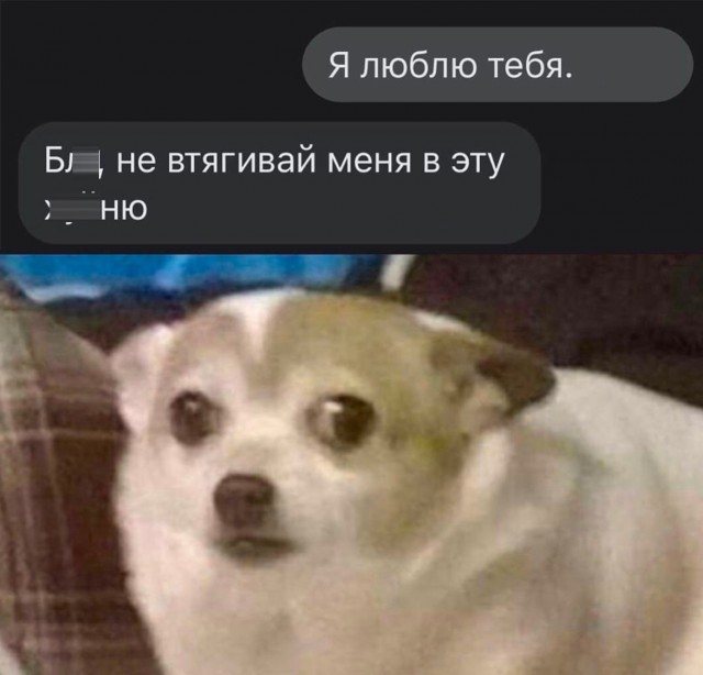 Так себе картинки 17.11.22