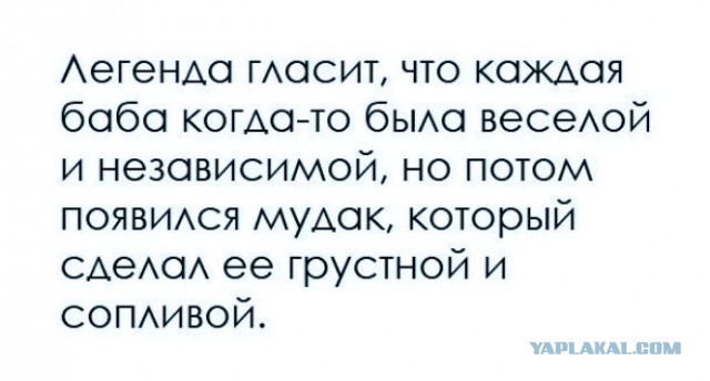 Перлы - 24.12.22