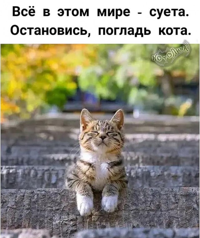 Юмор в картинках и без 09.05.2023