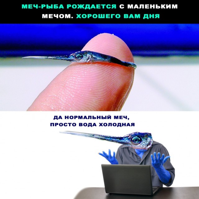 Картинки и мемы, всяко разно - 179