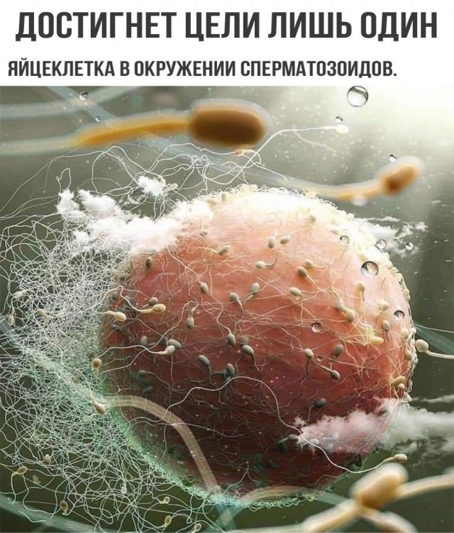 Всяко-разно