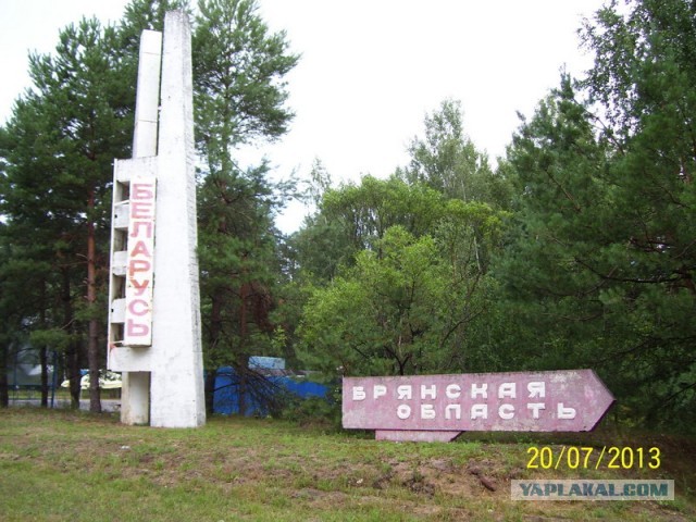 Фото с погибшего бука