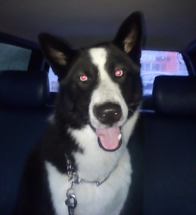 50 килограмм