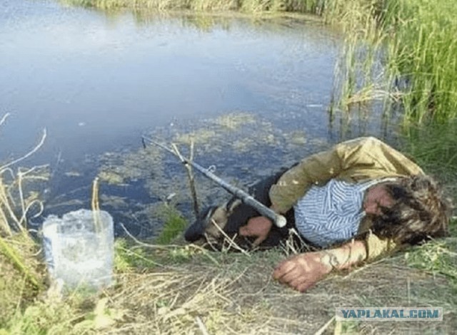 Сильная и независимая