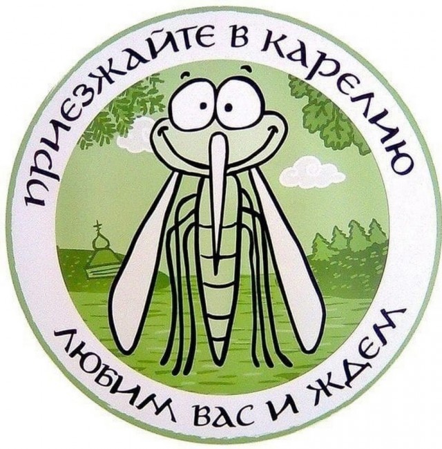 Куда  подастя ?