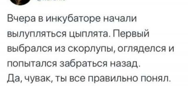 Веселые картинки к маленькой пятнице