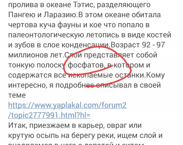 Зимняя палеонтология. Еще раз