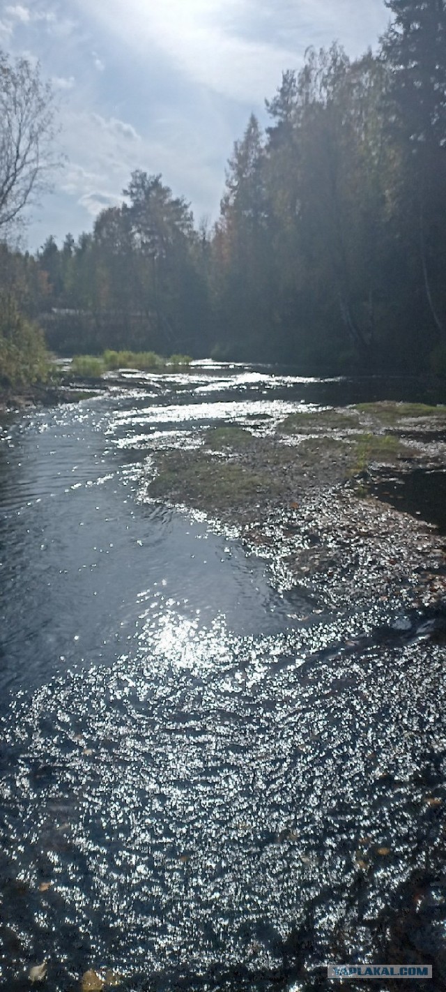 Камуфляж