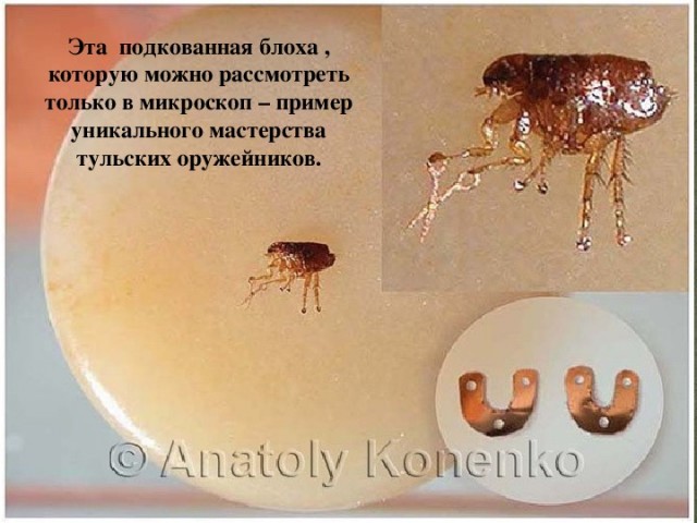 Кто придумал, что мужик должен отдавать жене зарплату?