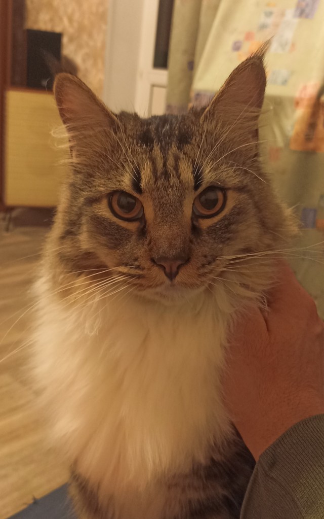 Косоглазый Смайлик