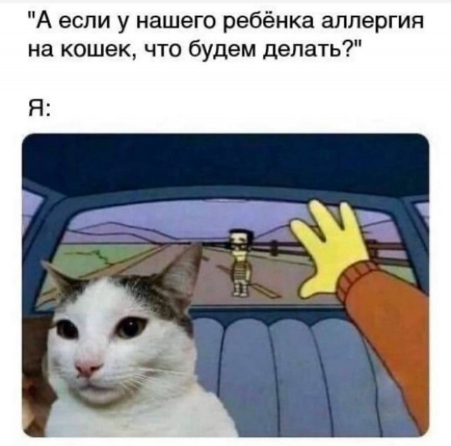 Завалялось тут случайно немного забавных картинок