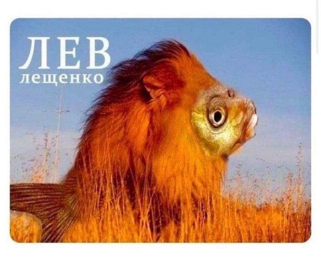 Веселый полтишок (09.07.2025)